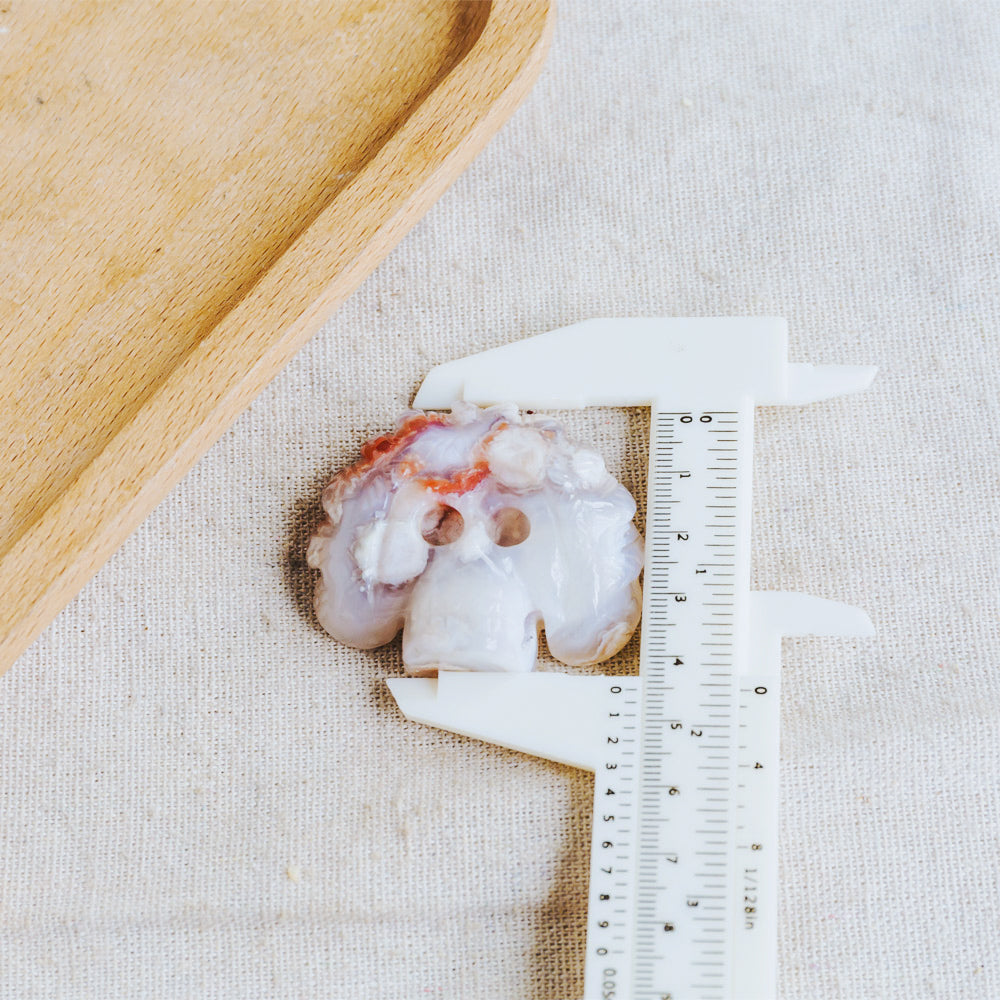 Reikistal 1.5" Flower Agate Indian Skull