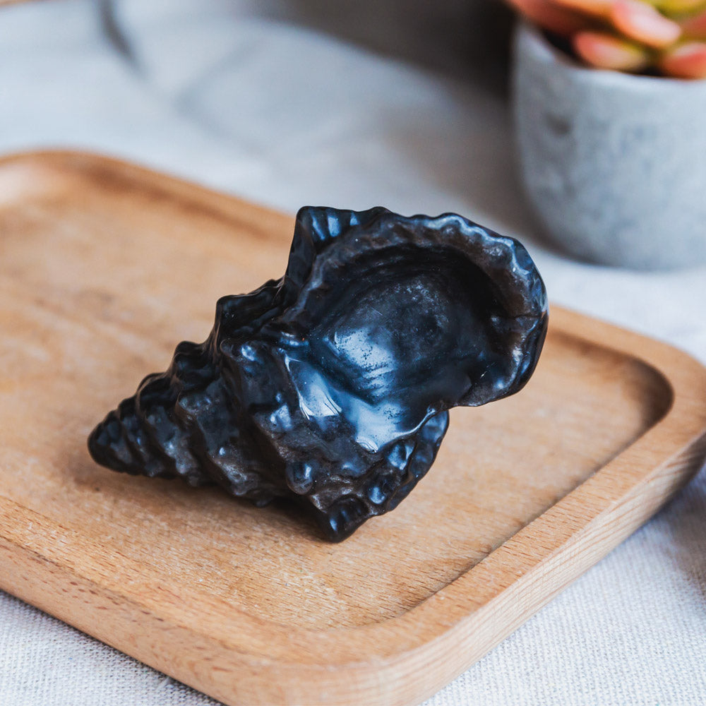 Reikistal Black Obsidian Conch