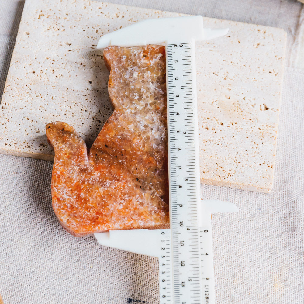 Reikistal Orange Chalcedony Cat Slice