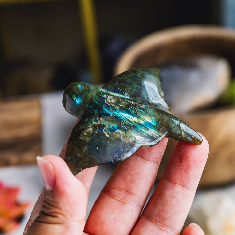 Reikistal Labradorite Devil Fish