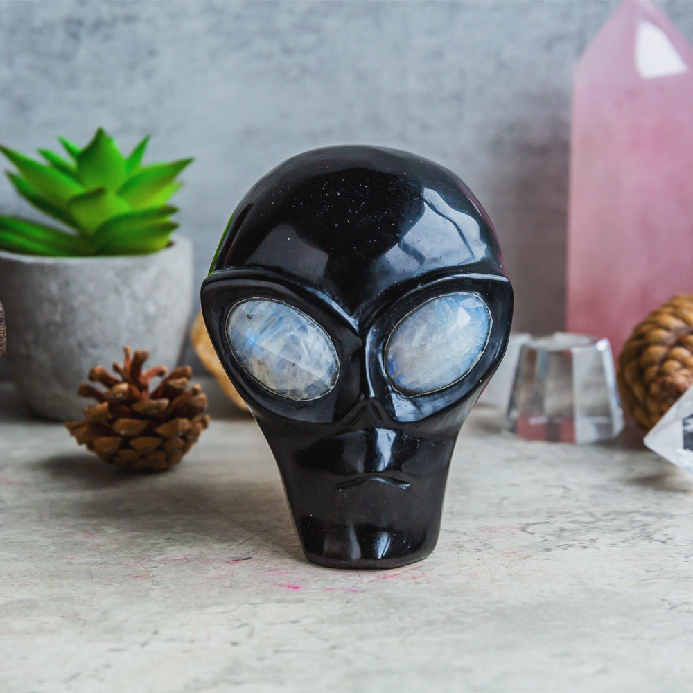 Reikistal Obsidian Alien Skull With Rainbow Moonstone Eye