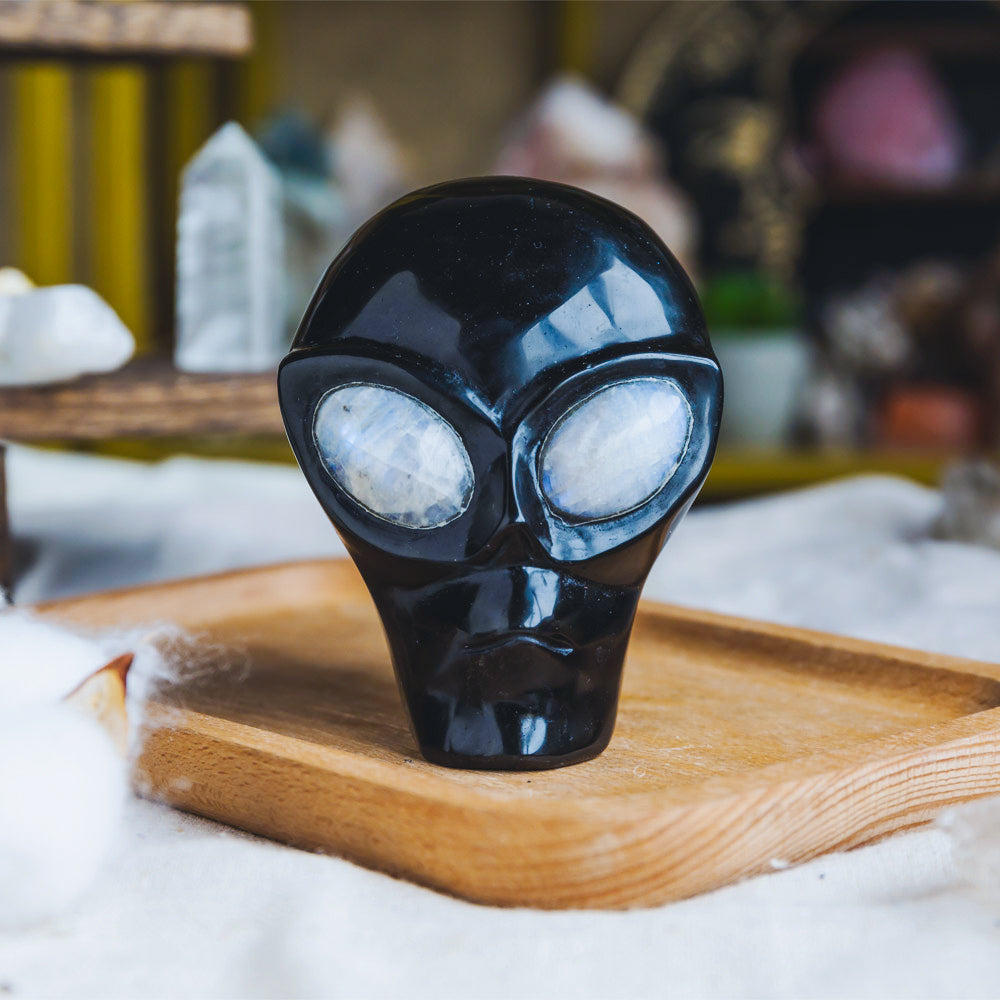 Reikistal Black Obsidian Alien Skull With Moonstone Eyes