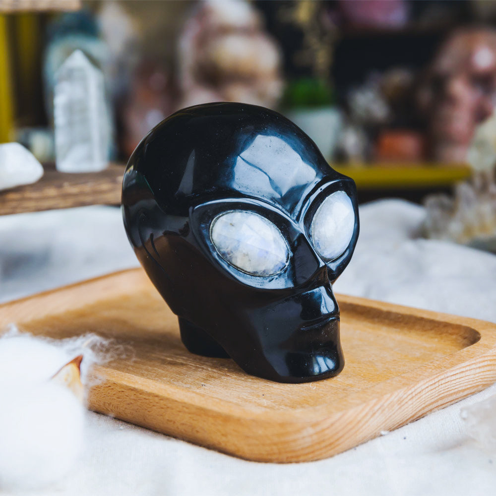 Reikistal Black Obsidian Alien Skull With Moonstone Eyes