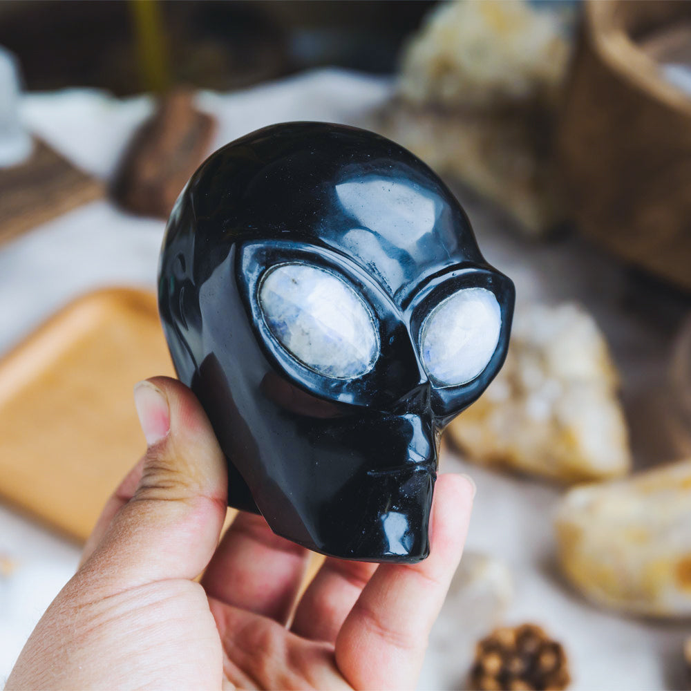 Reikistal Black Obsidian Alien Skull With Moonstone Eyes