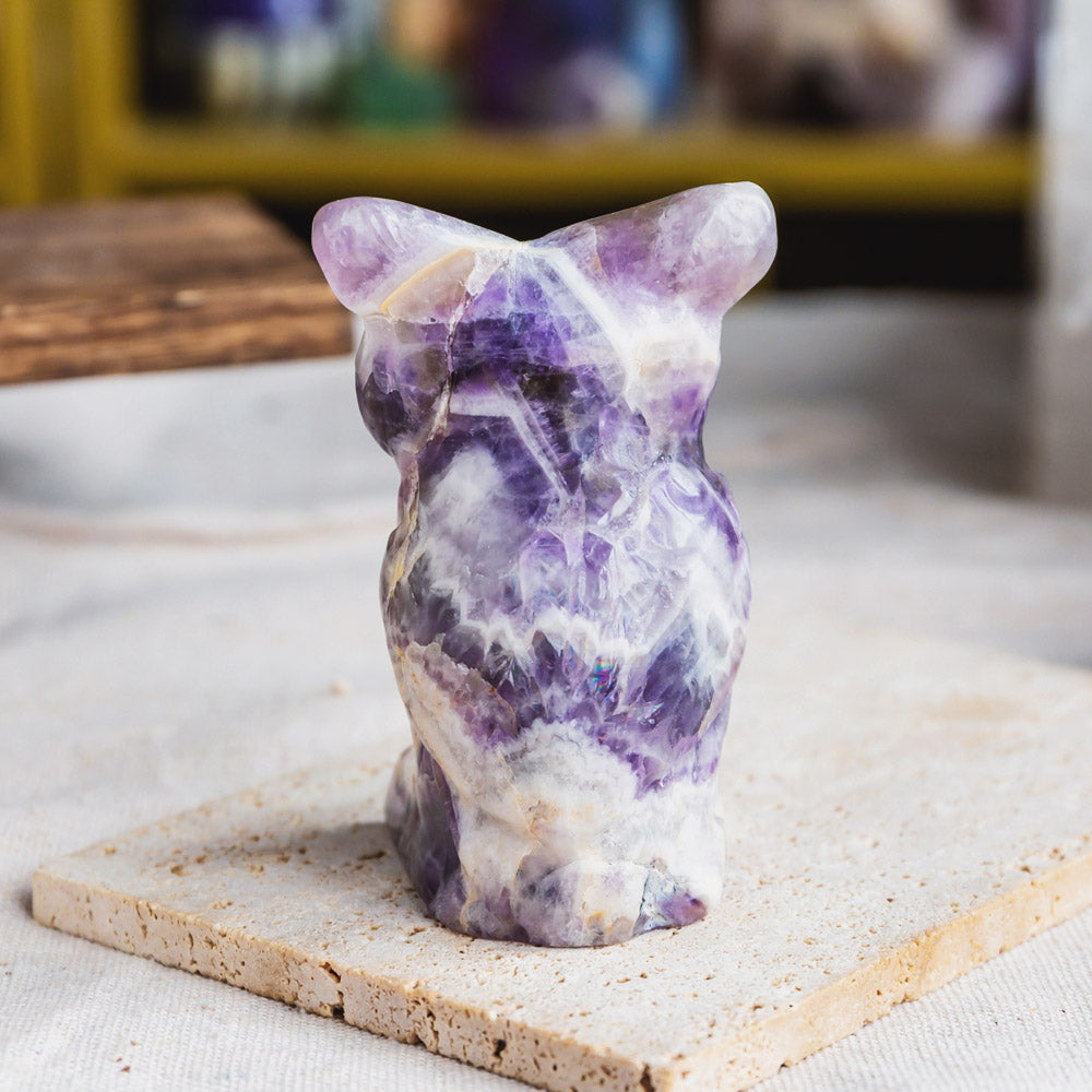 Reikistal Dream Amethyst Owl