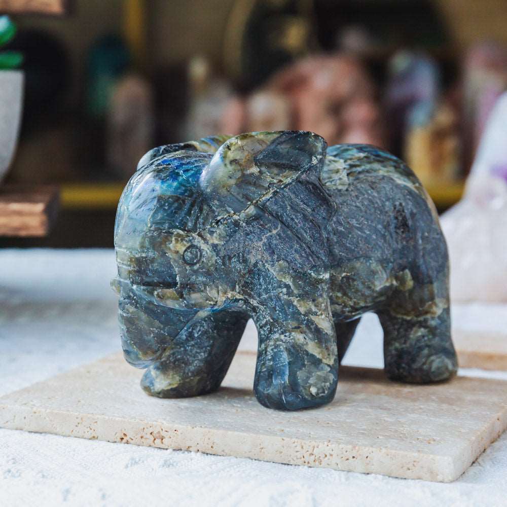 Reikistal 5‘’ Labradorite Elephant