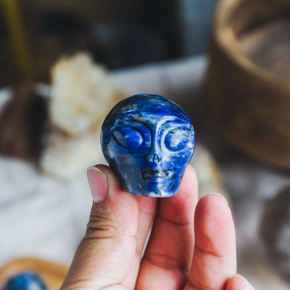 Reikistal 2'' Sodalite Alien Skull