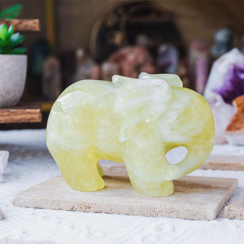 Reikistal 5‘’ Citrine Elephant