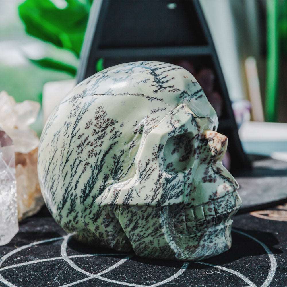 Reikistal 5'' Dendritic Opal Skull