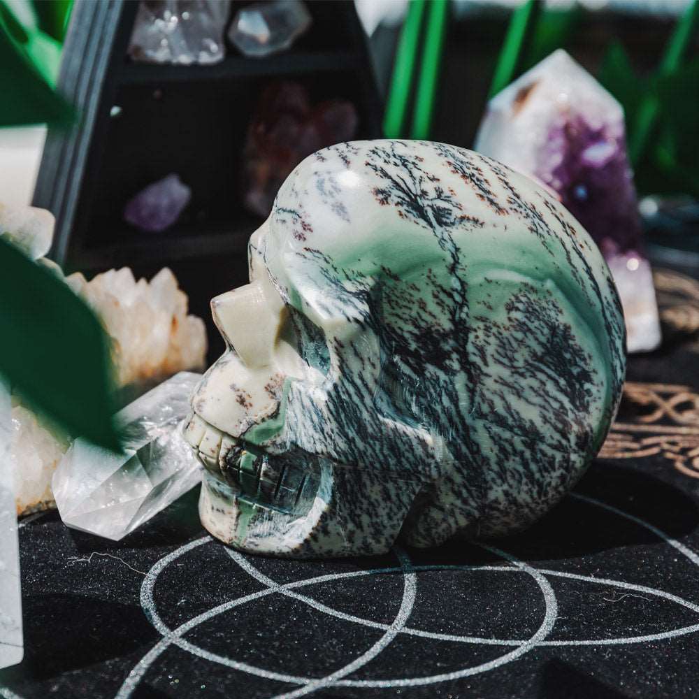 Reikistal 5'' Dendritic Opal Skull