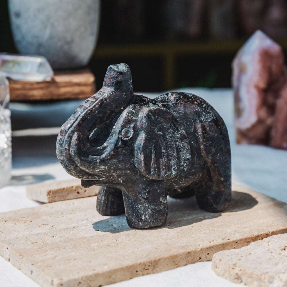 Reikistal 4‘’ Astrophyllite With Garnet Elephant