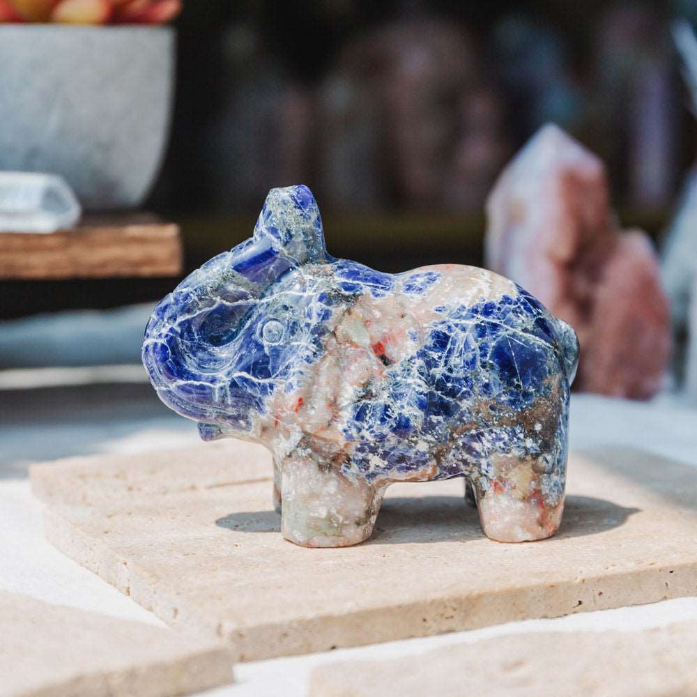 Reikistal 3'' Sodalite Elephant