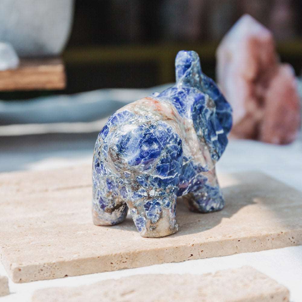 Reikistal 3'' Sodalite Elephant