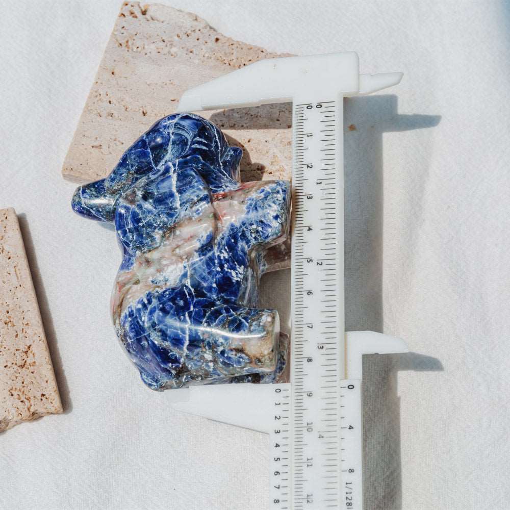 Reikistal 3'' Sodalite Elephant