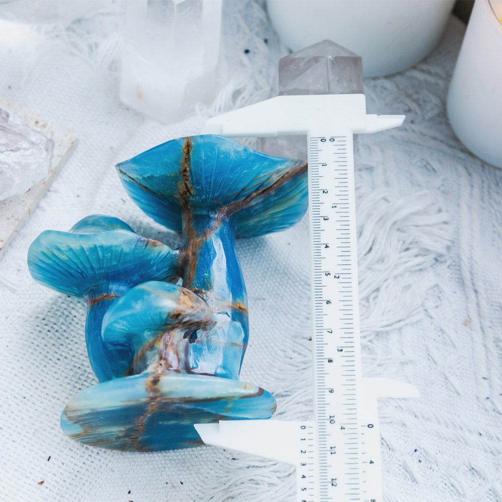 Reikistal Blue Onyx Mushroom