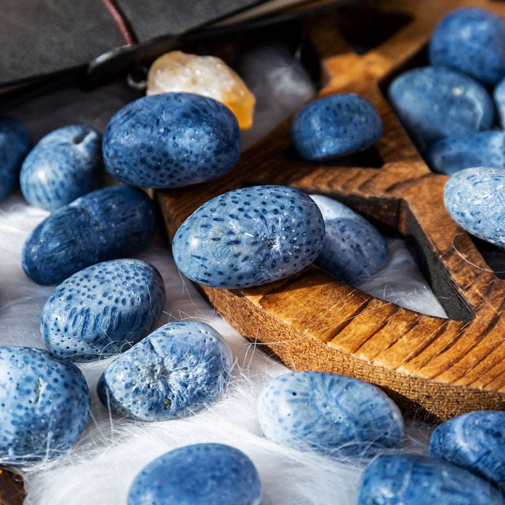 Reikistal Blue Coral Tumbled Stone