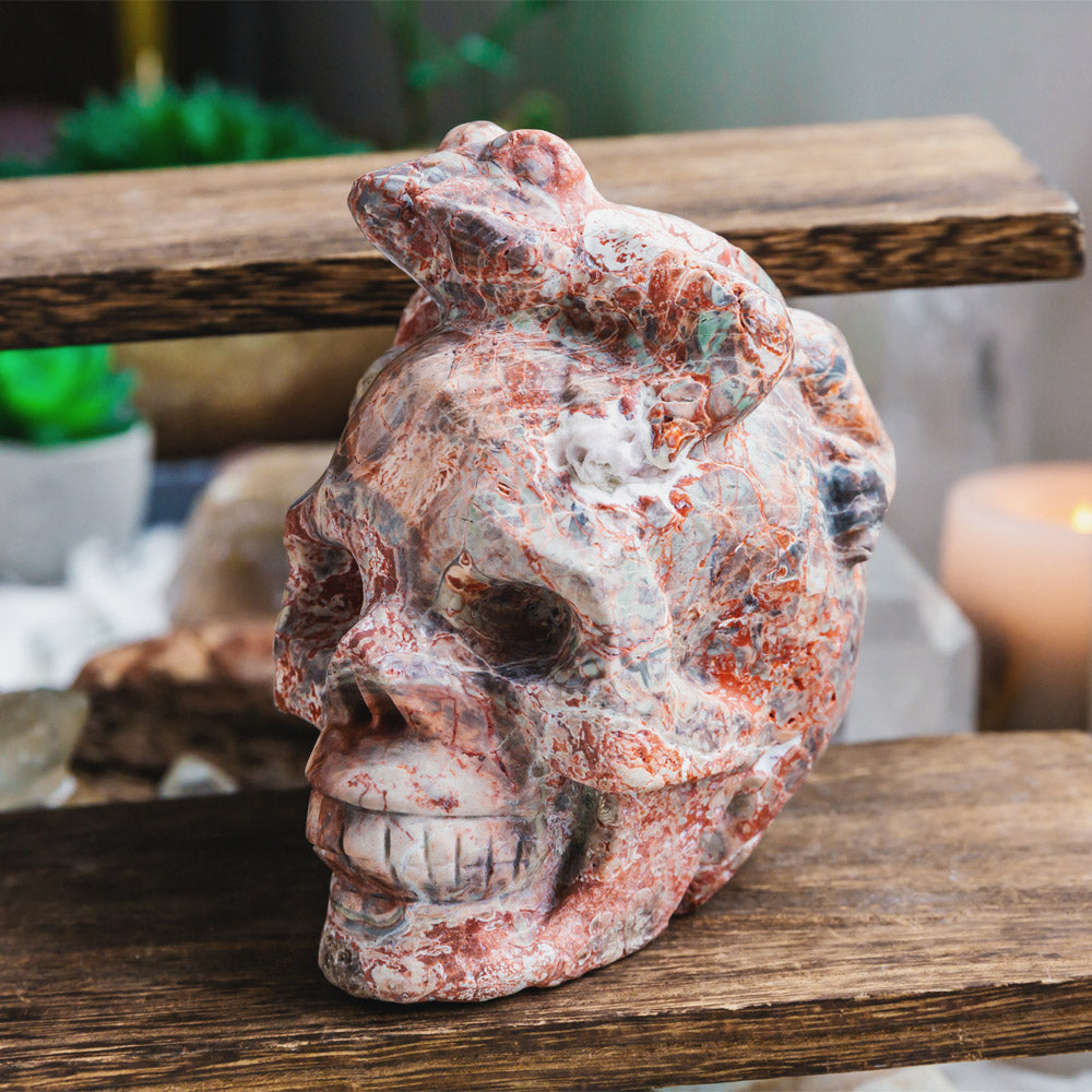 Reikistal Indonesia Jasper Skull With Snake