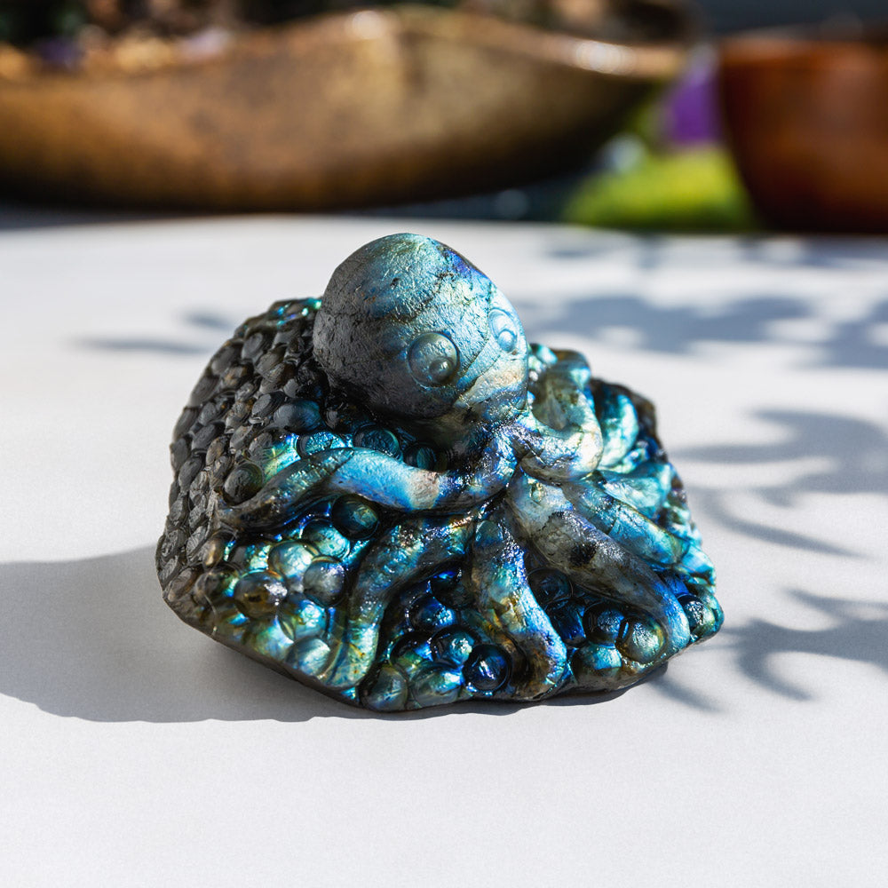 Reikistal Labradorite Octopus