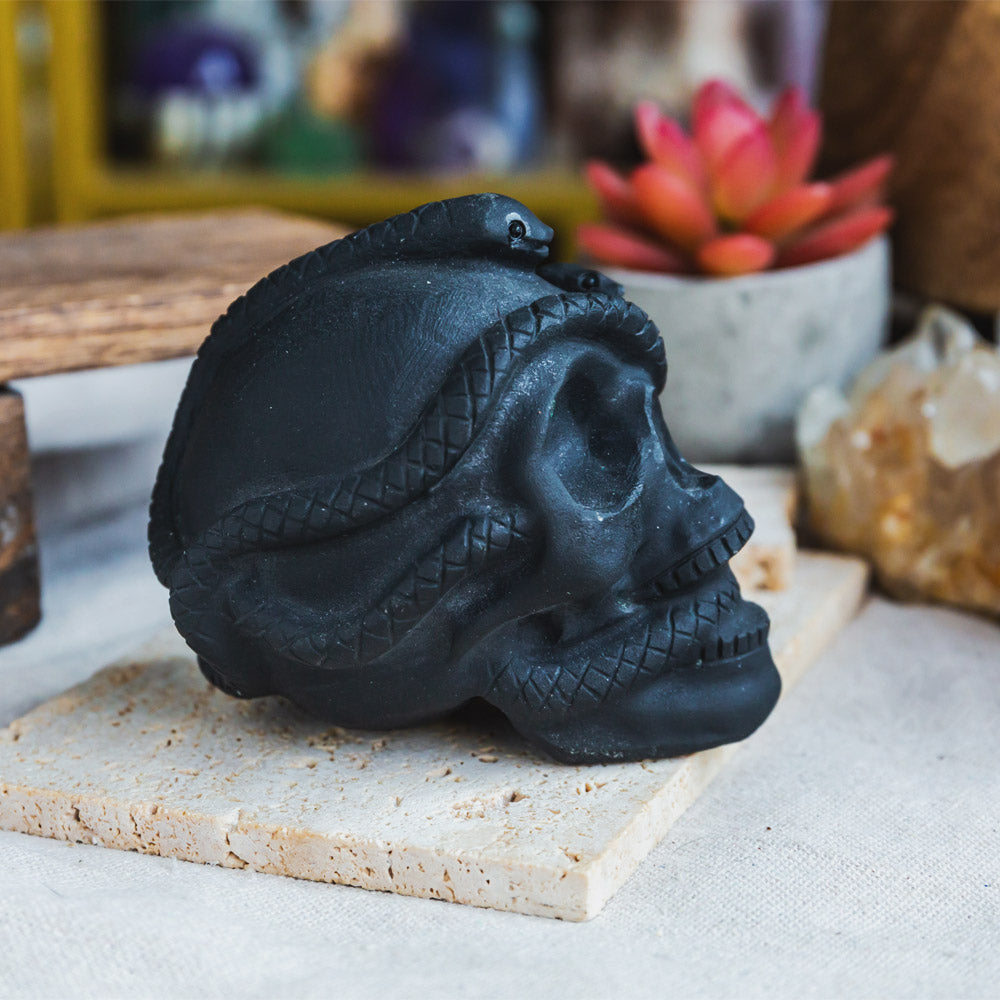 Reikistal Black Obsidian Skull With Snake