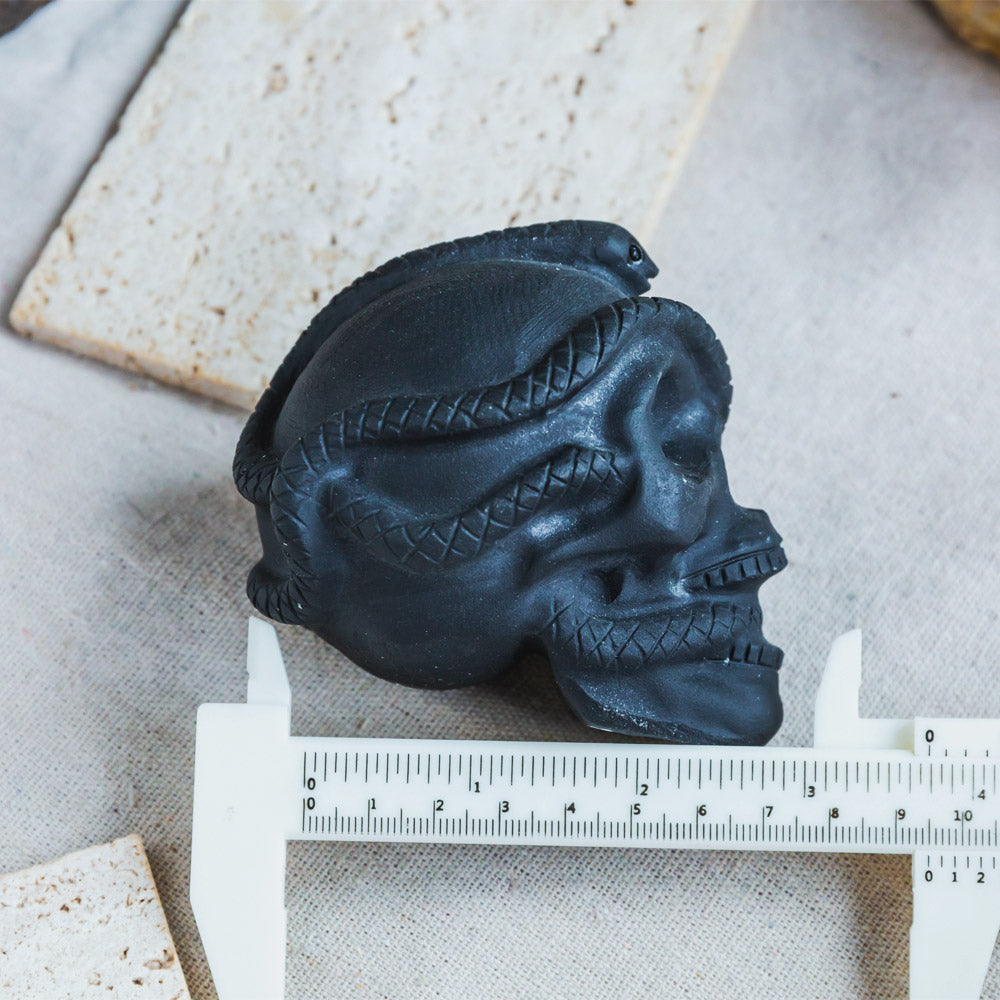 Reikistal Black Obsidian Skull With Snake