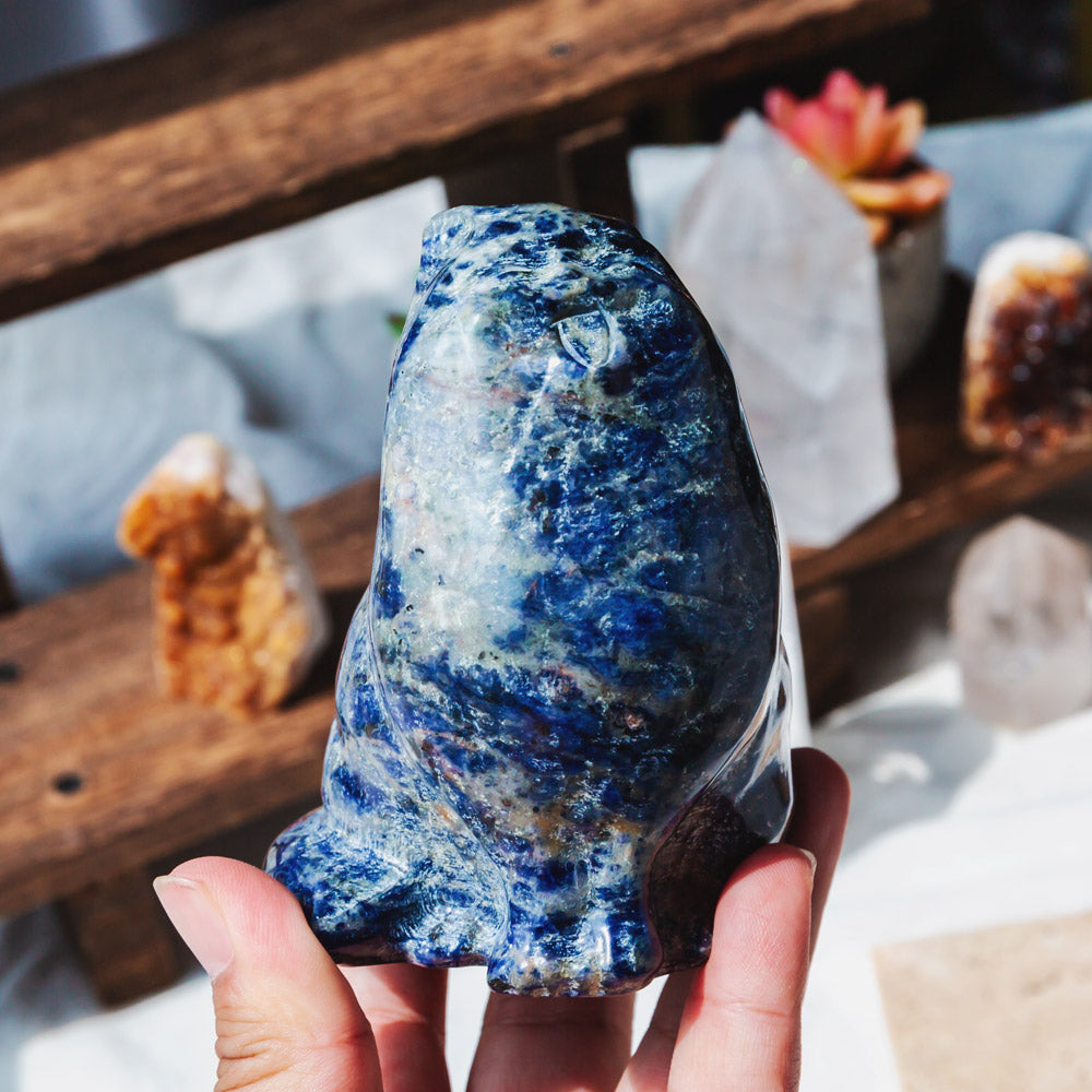 Reikistal Sodalite Cat
