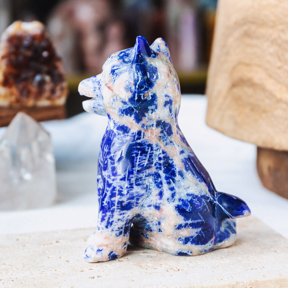 Reikistal Sodalite Husky