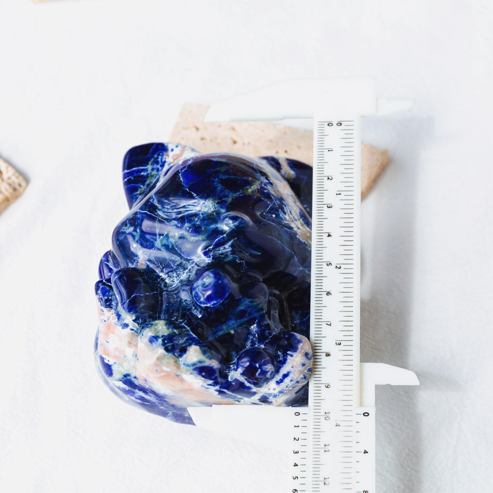 Reikistal Sodalite Nine-Tailed Fox