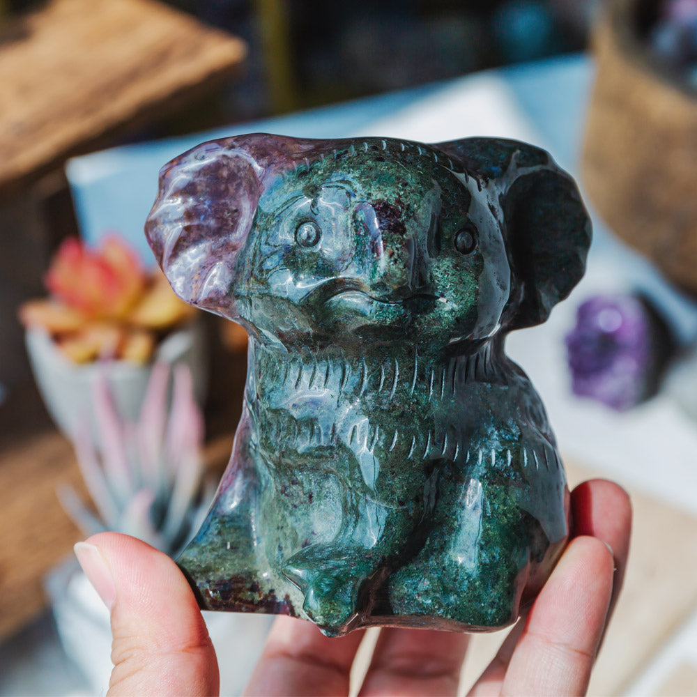 Reikistal Ocean Jasper Koala