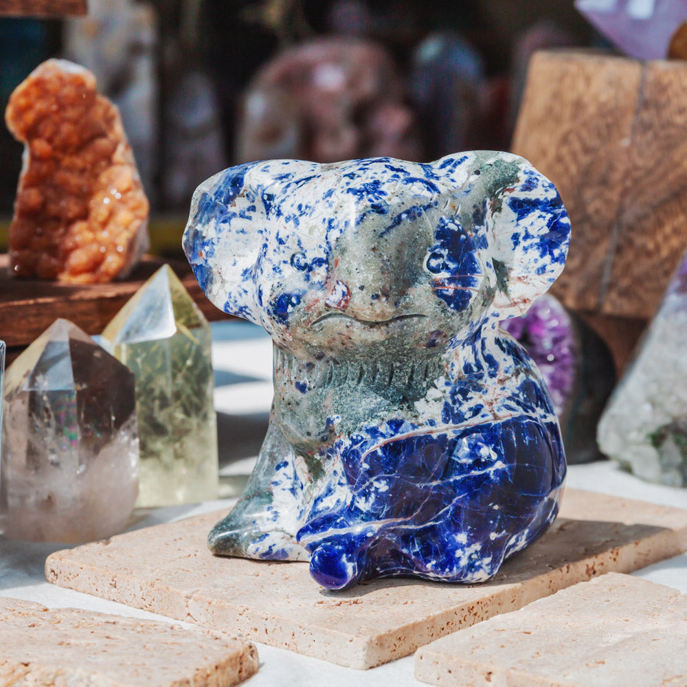 Reikistal Sodalite Koala