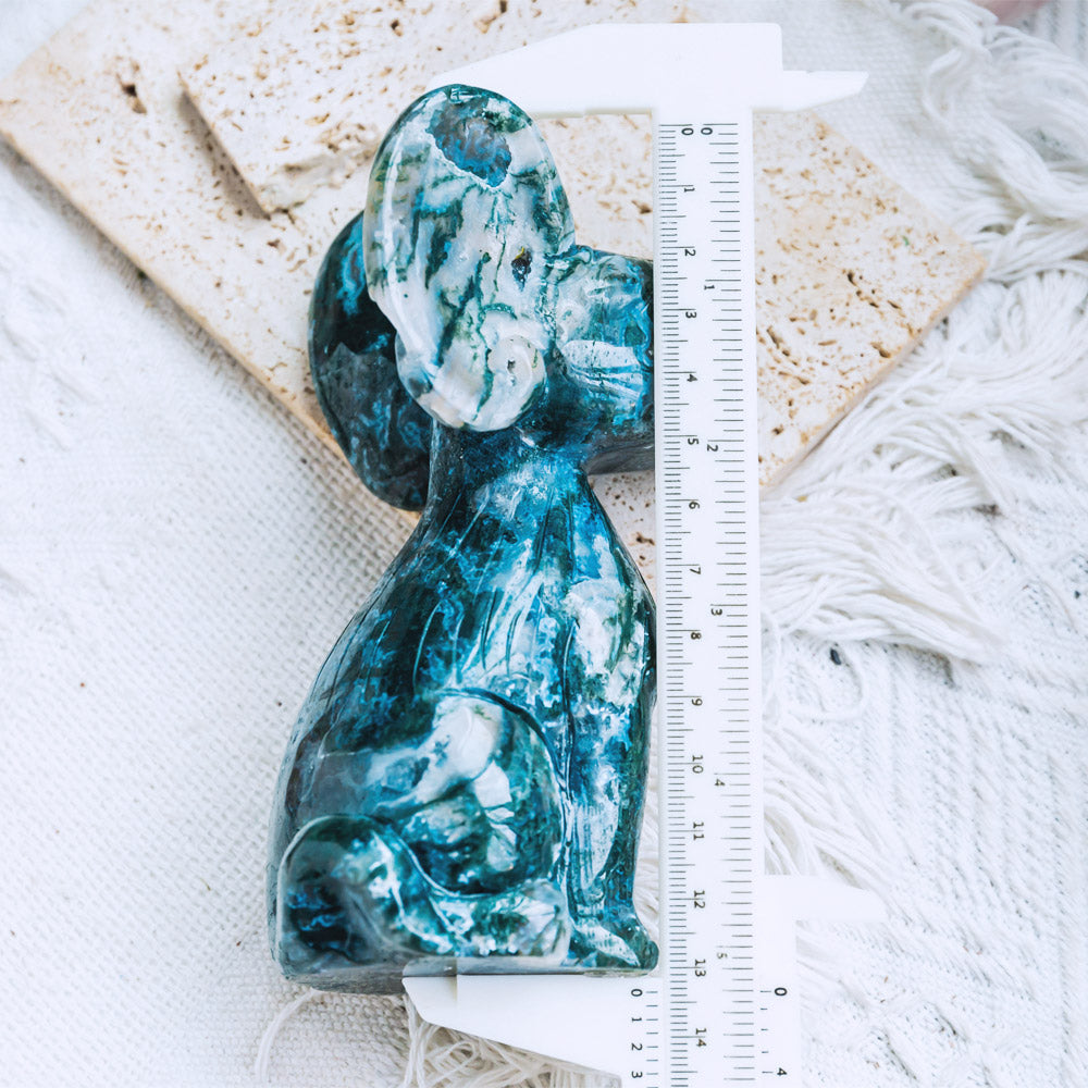 Reikistal Moss Agate Sphynx Cat