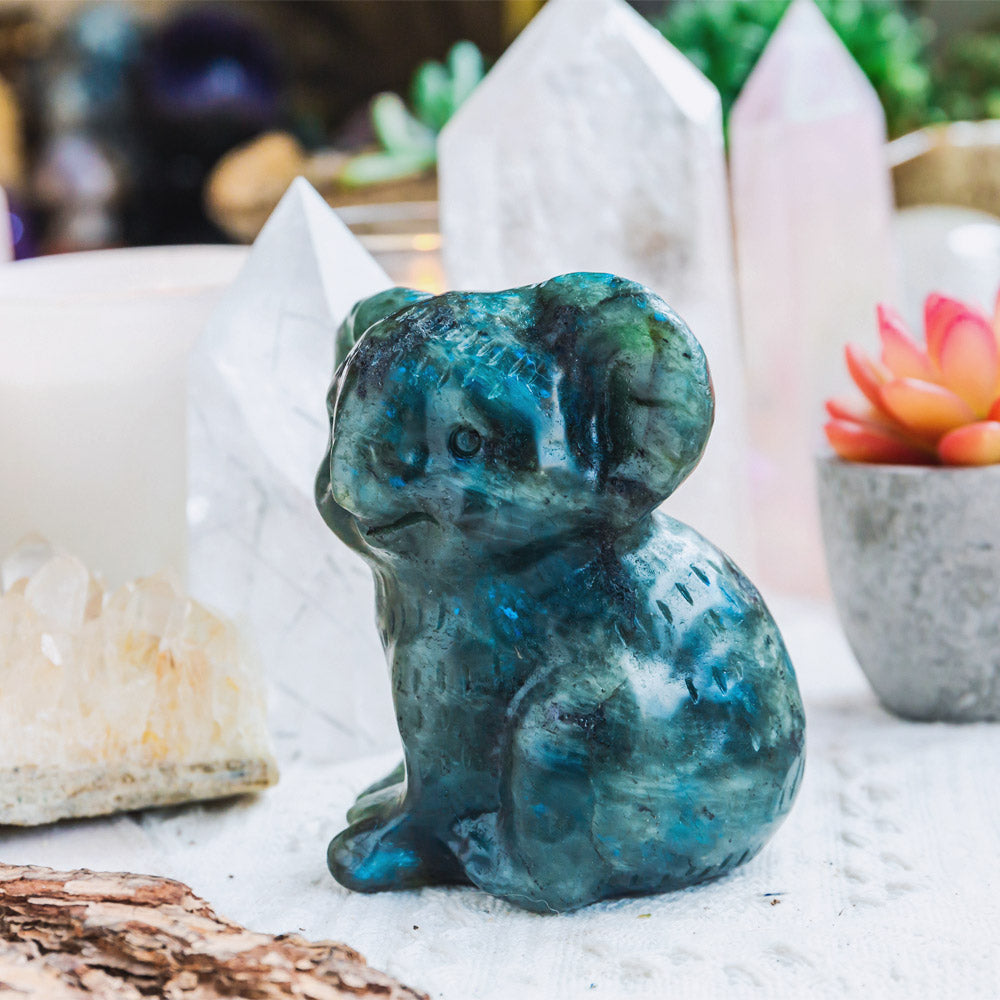 Reikistal Labradorite Koala