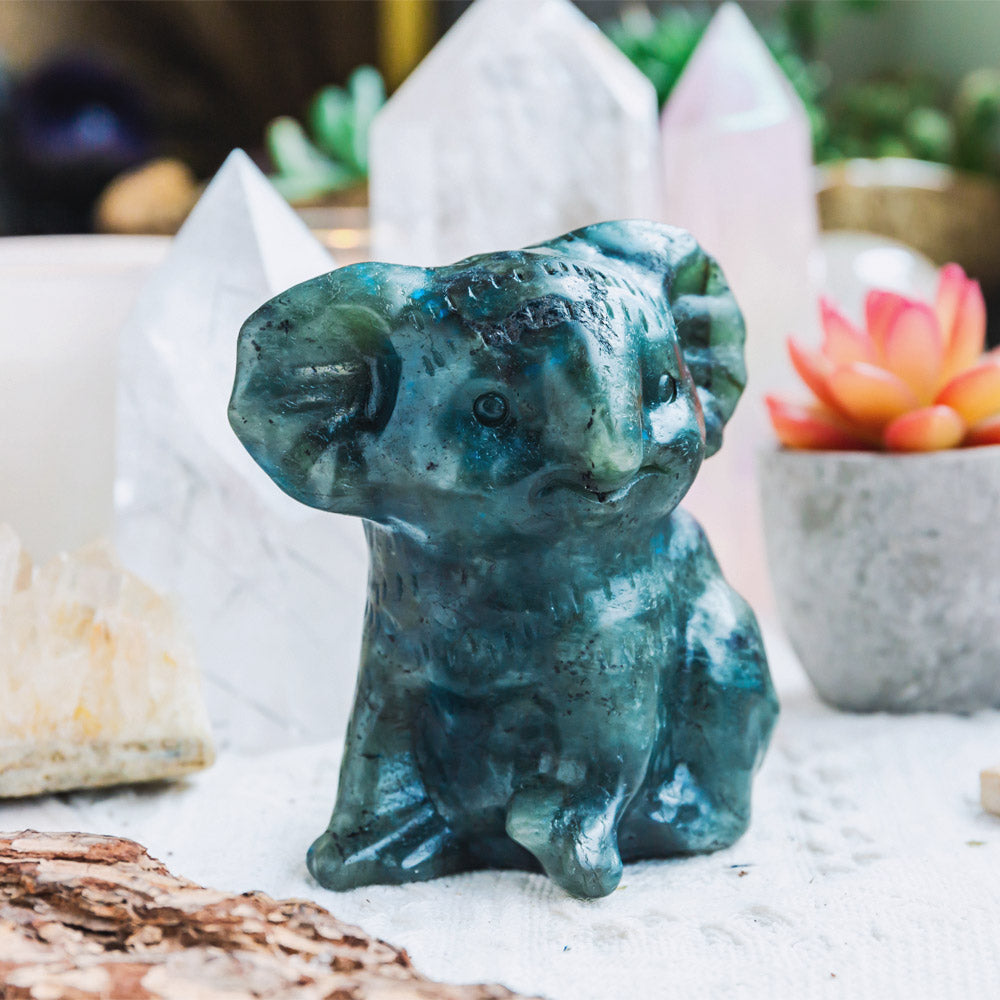 Reikistal Labradorite Koala