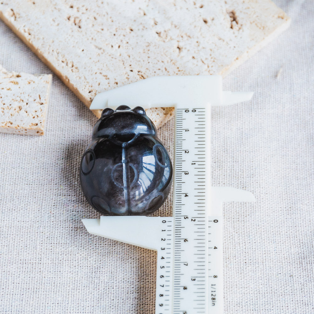 Reikistal Silver Sheen Obsidian Beetle