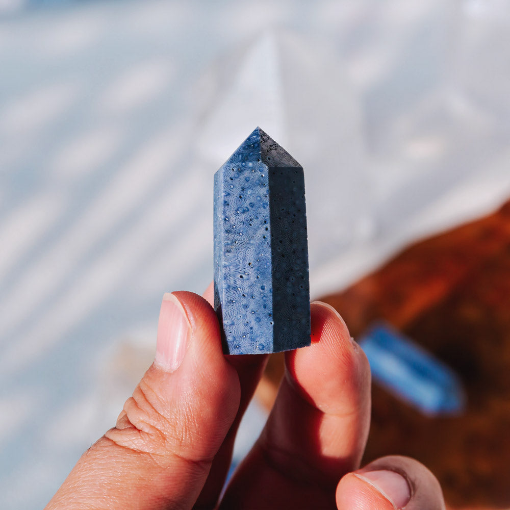 Reikistal 2" Blue Coral Point
