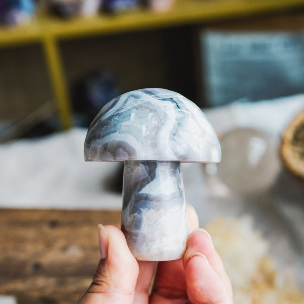 Reikistal White Crazy Lace Agate Mushroom