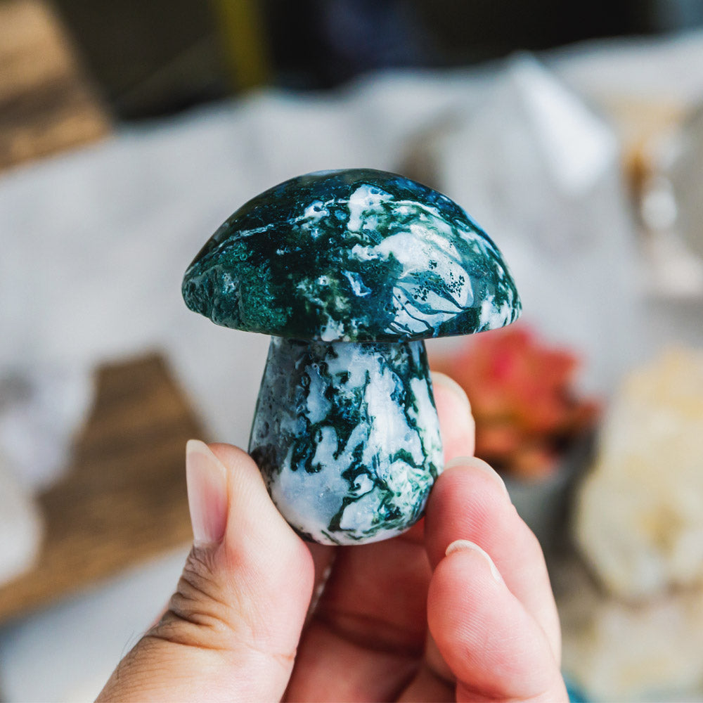 Reikistal Moss Agate Mushroom