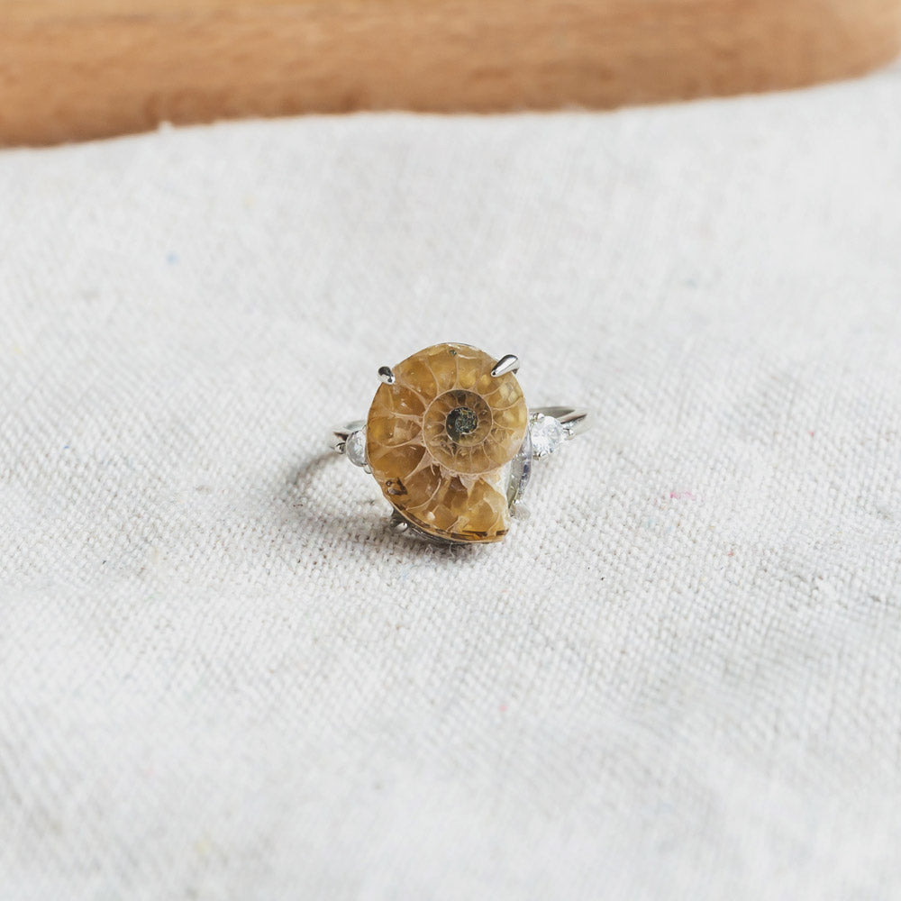 Reikistal Fossil Snail Ring