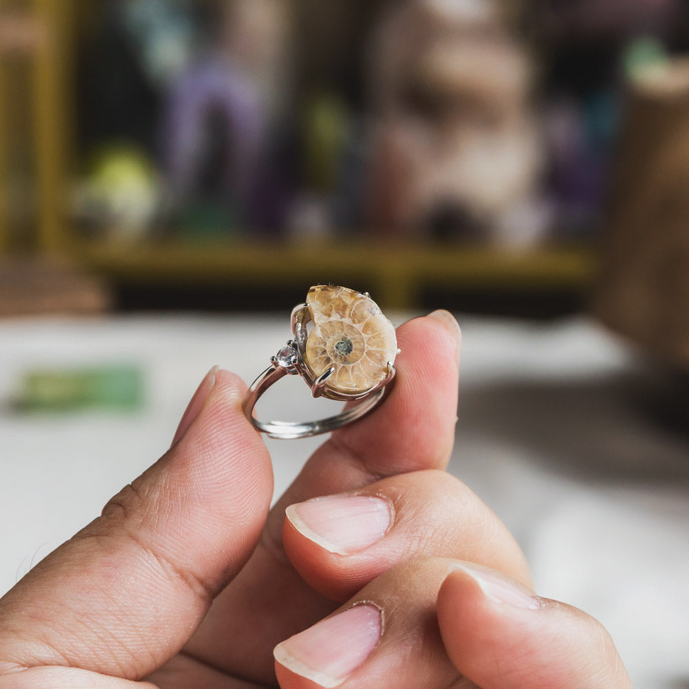Reikistal Fossil Snail Ring