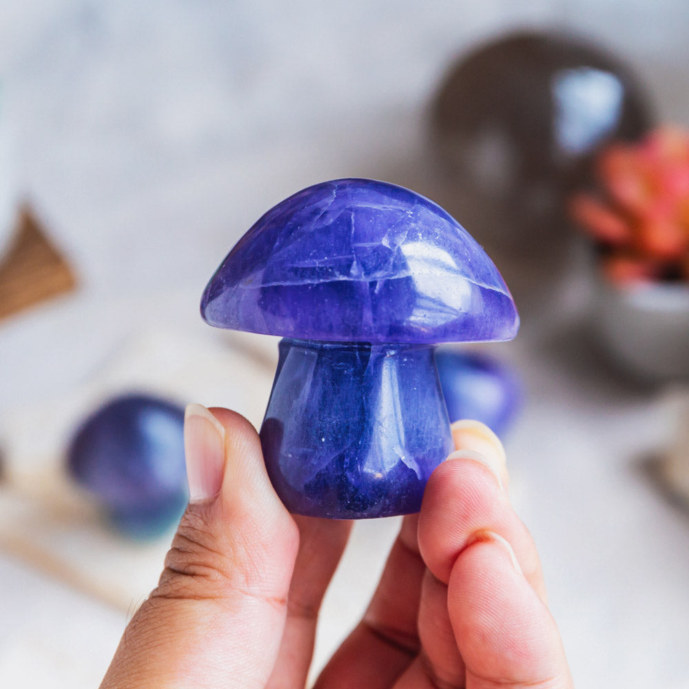 Reikistal Fluorite Mushroom