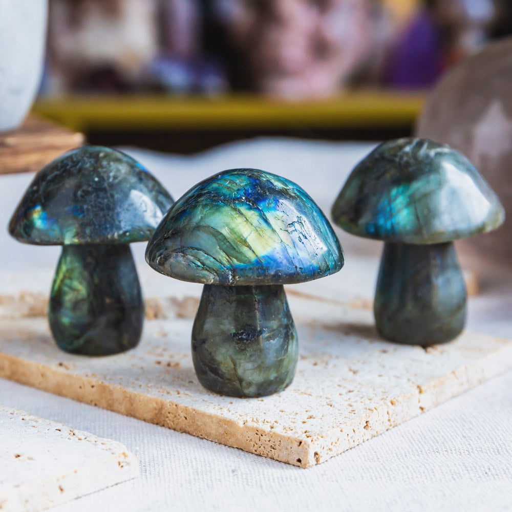 Reikistal Labradorite Mushroom