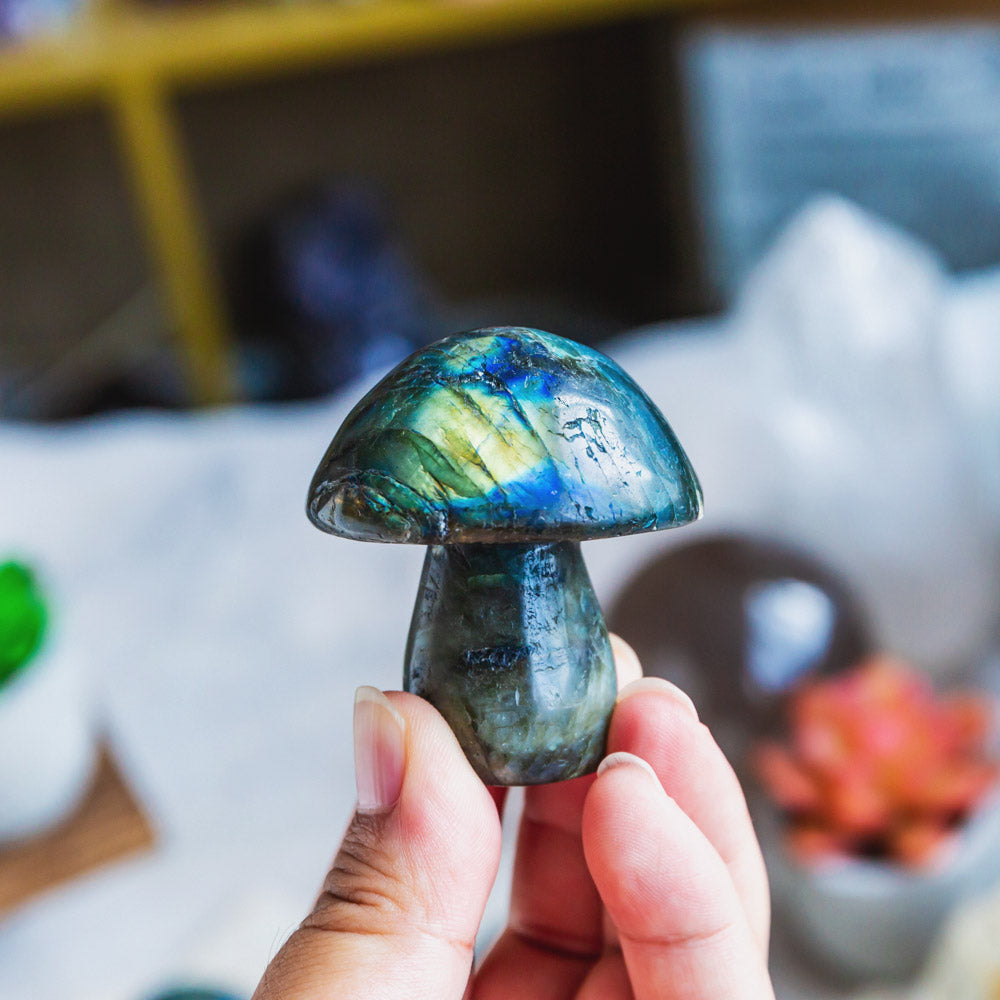 Reikistal Labradorite Mushroom