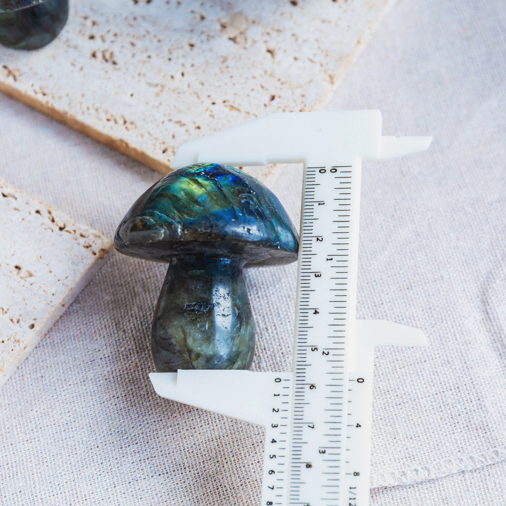 Reikistal Labradorite Mushroom