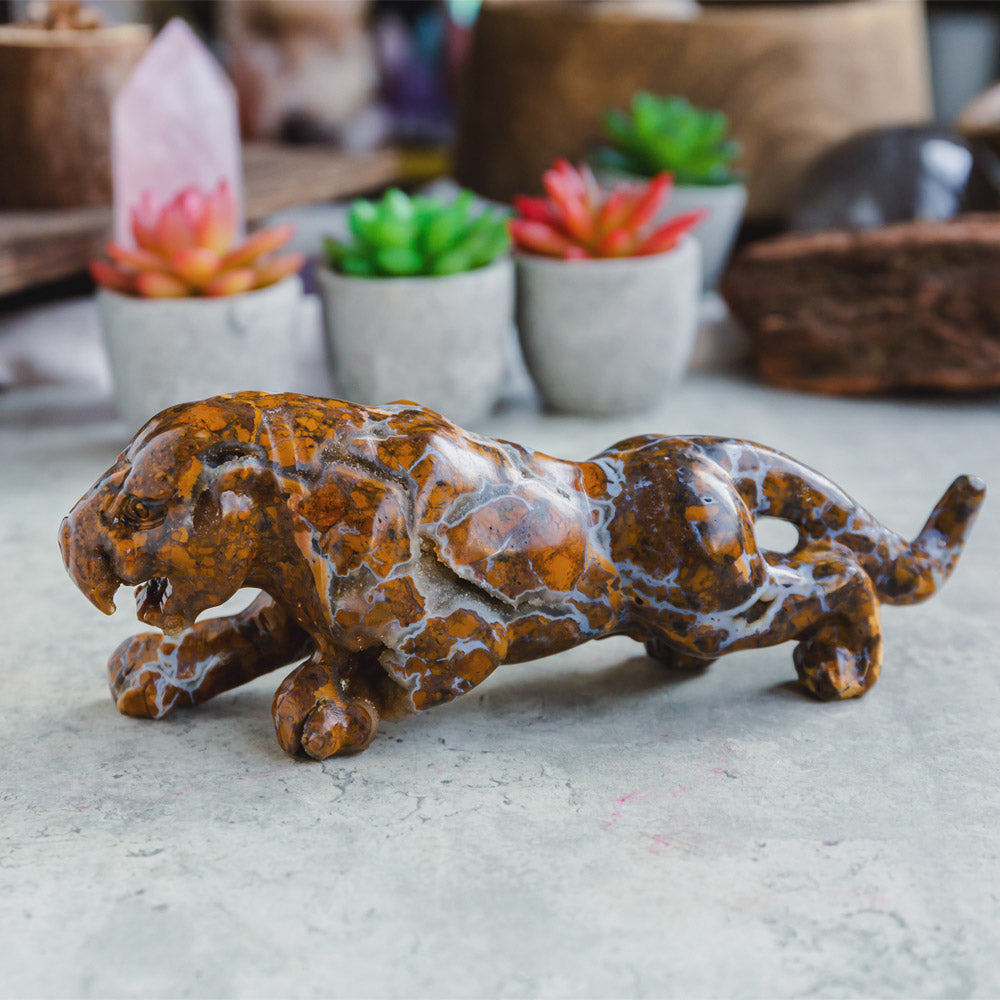 Reikistal Ocean Jasper Leopard