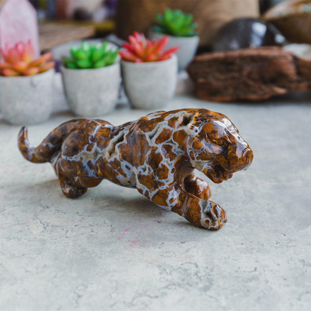 Reikistal Ocean Jasper Leopard