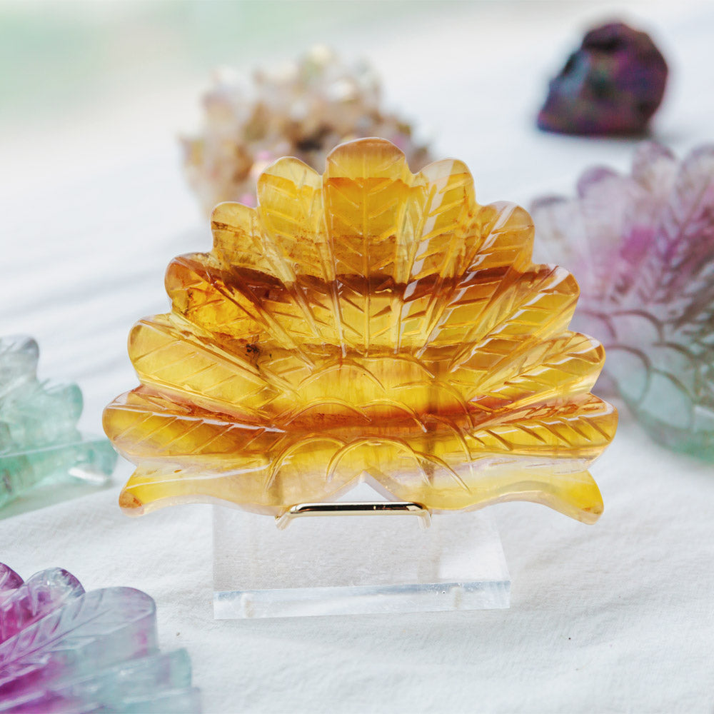 Reikistal Fluorite Peacock Tail