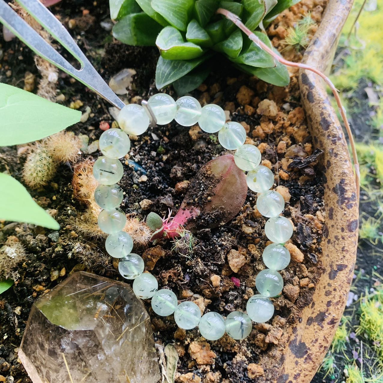 Reikistal Prehnite Bracelet