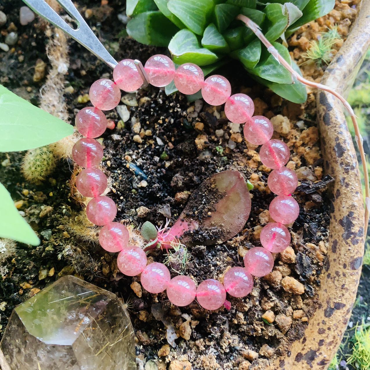 Reikistal Strawberry Quartz Bracelet