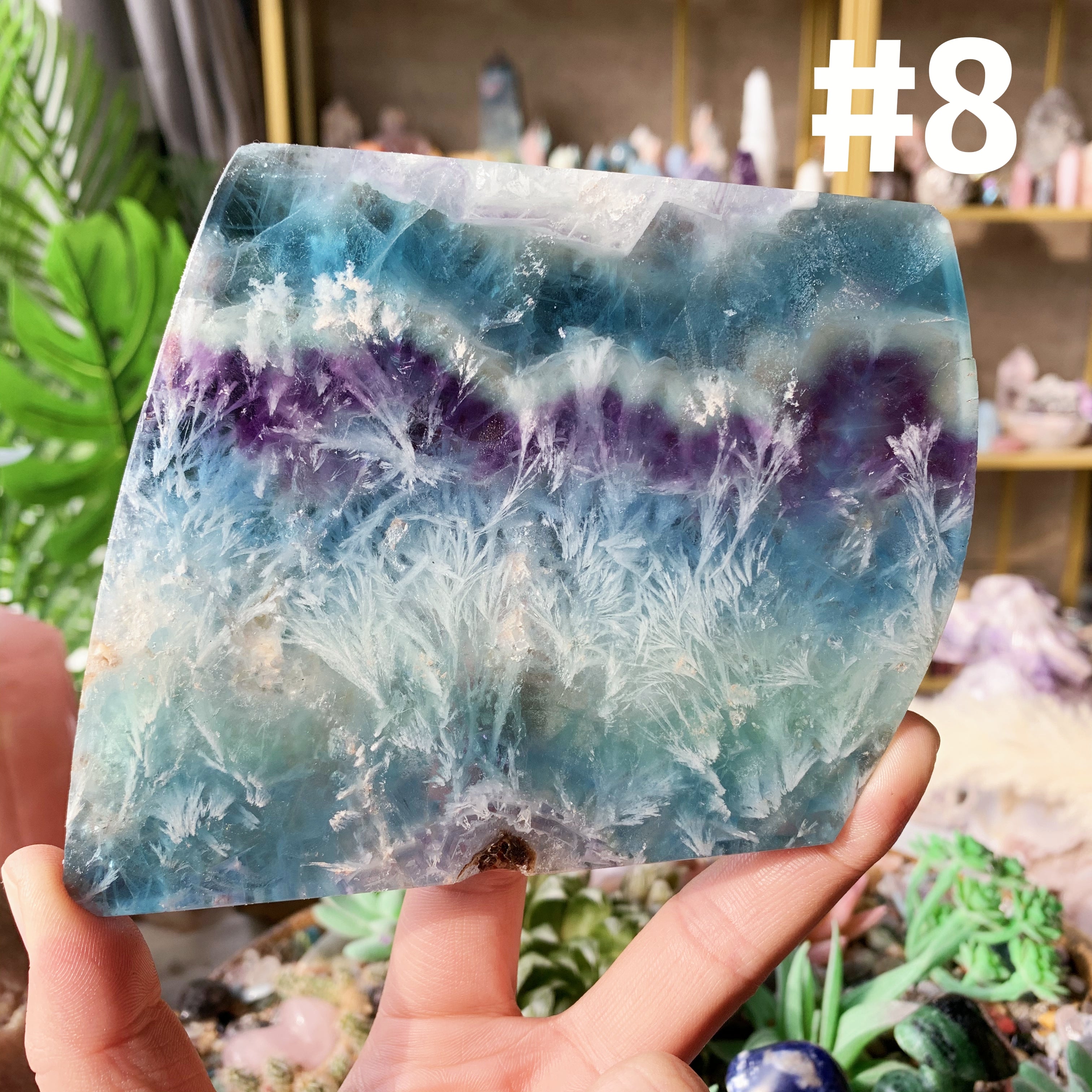 【Weekly Flash Deals】Snowflake Fluorite Slice