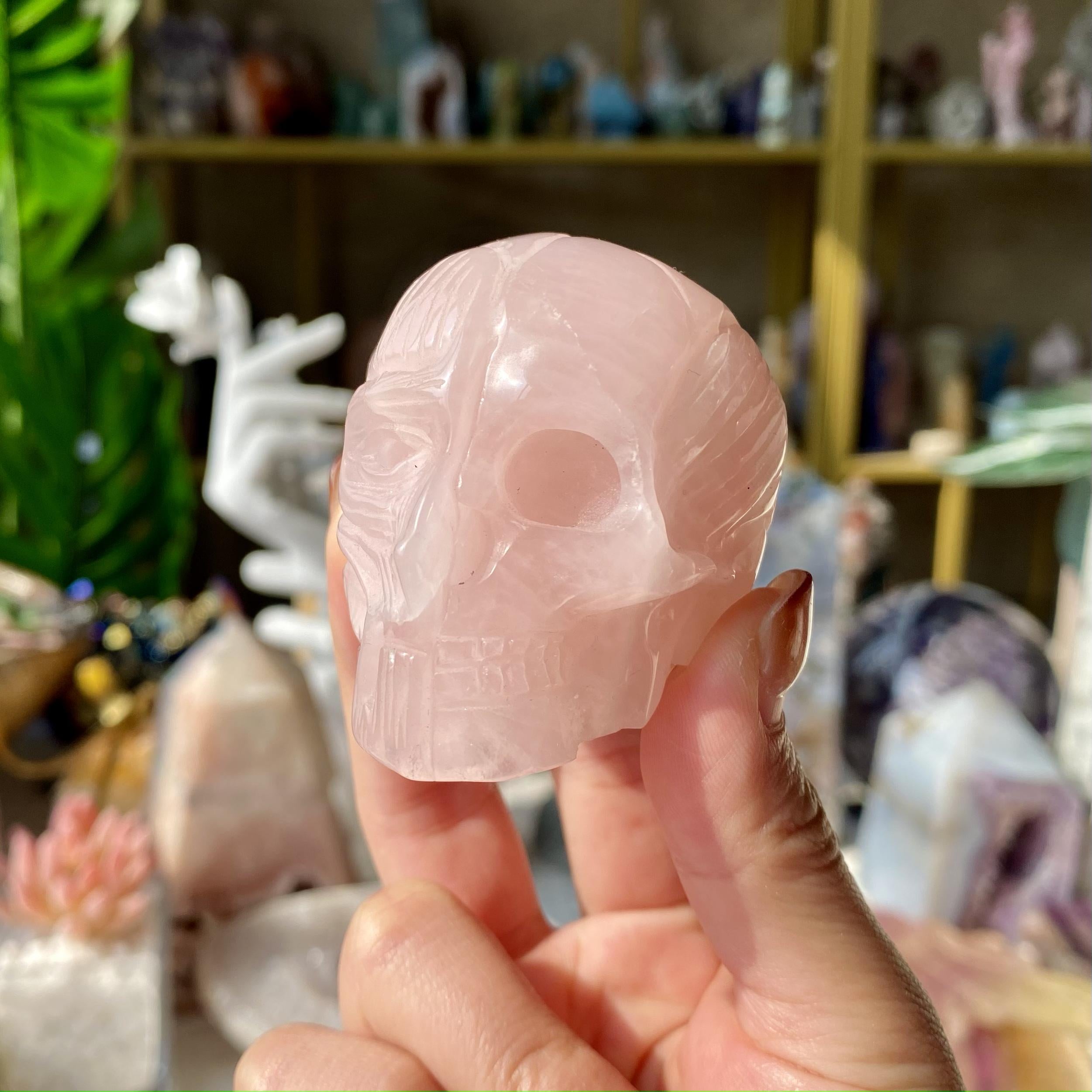 【Weekly Flash Deals】Carving 1