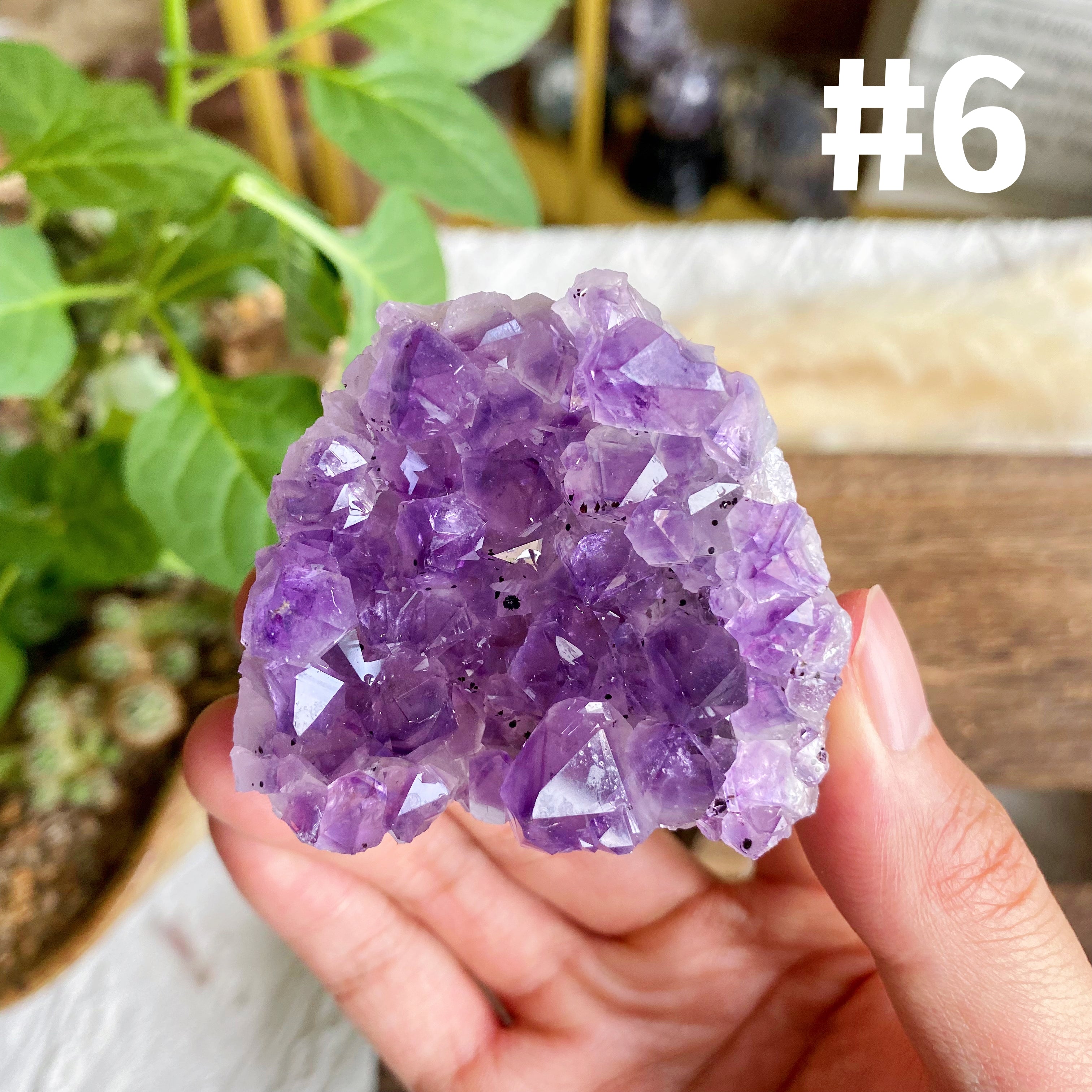 【Weekly Flash Deals】Amethyst Small Freeform Cluster